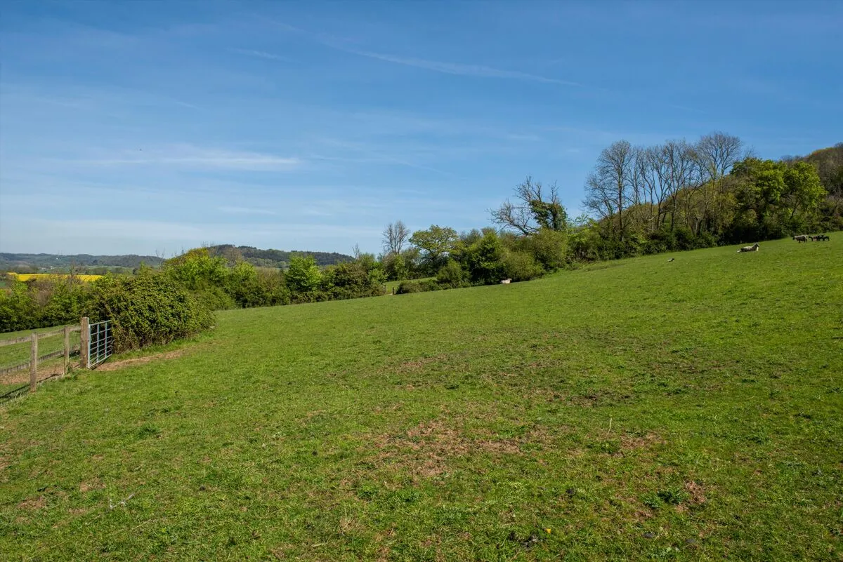 Griggs Lane, Sidmouth, EX10, photo 21