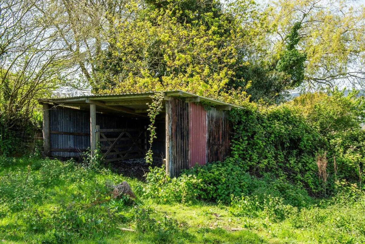 Griggs Lane, Sidmouth, EX10, photo 17