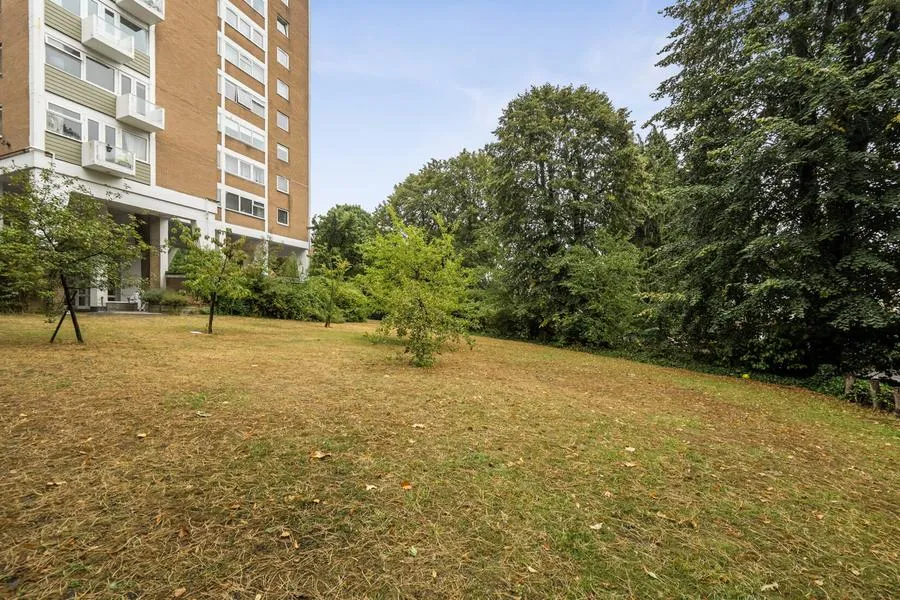Guildford Road, Woking, GU22, photo 19