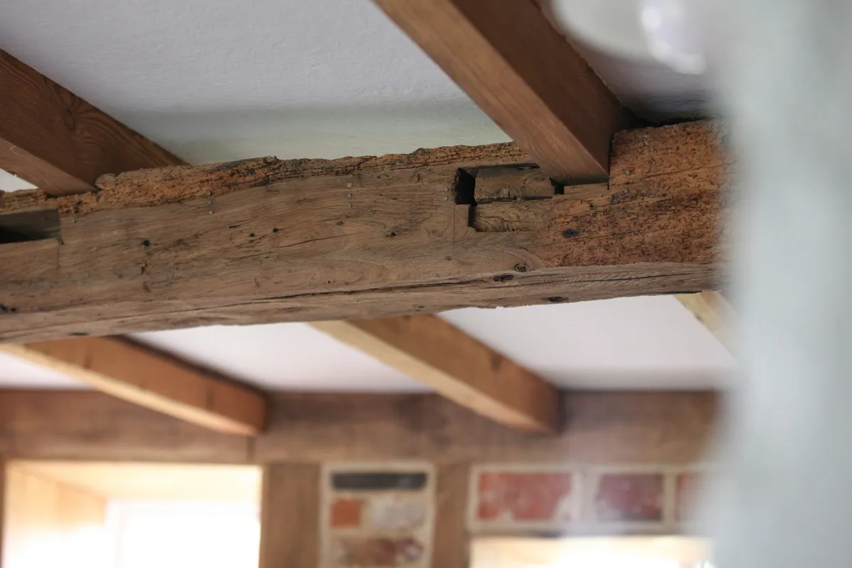 Wildwood Cottage, Cutlers Green, CM6, photo 29