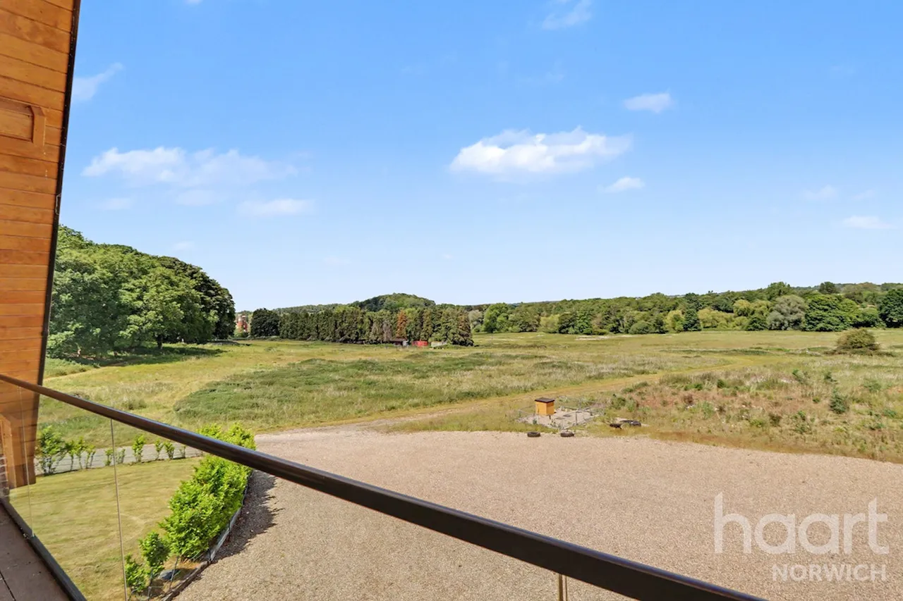 Hall Drive, Norwich, NR5, photo 18