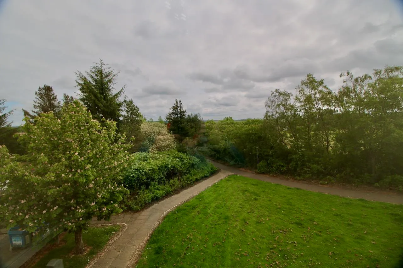 Morar Drive, Condorrat, G67 4LQ, photo 14