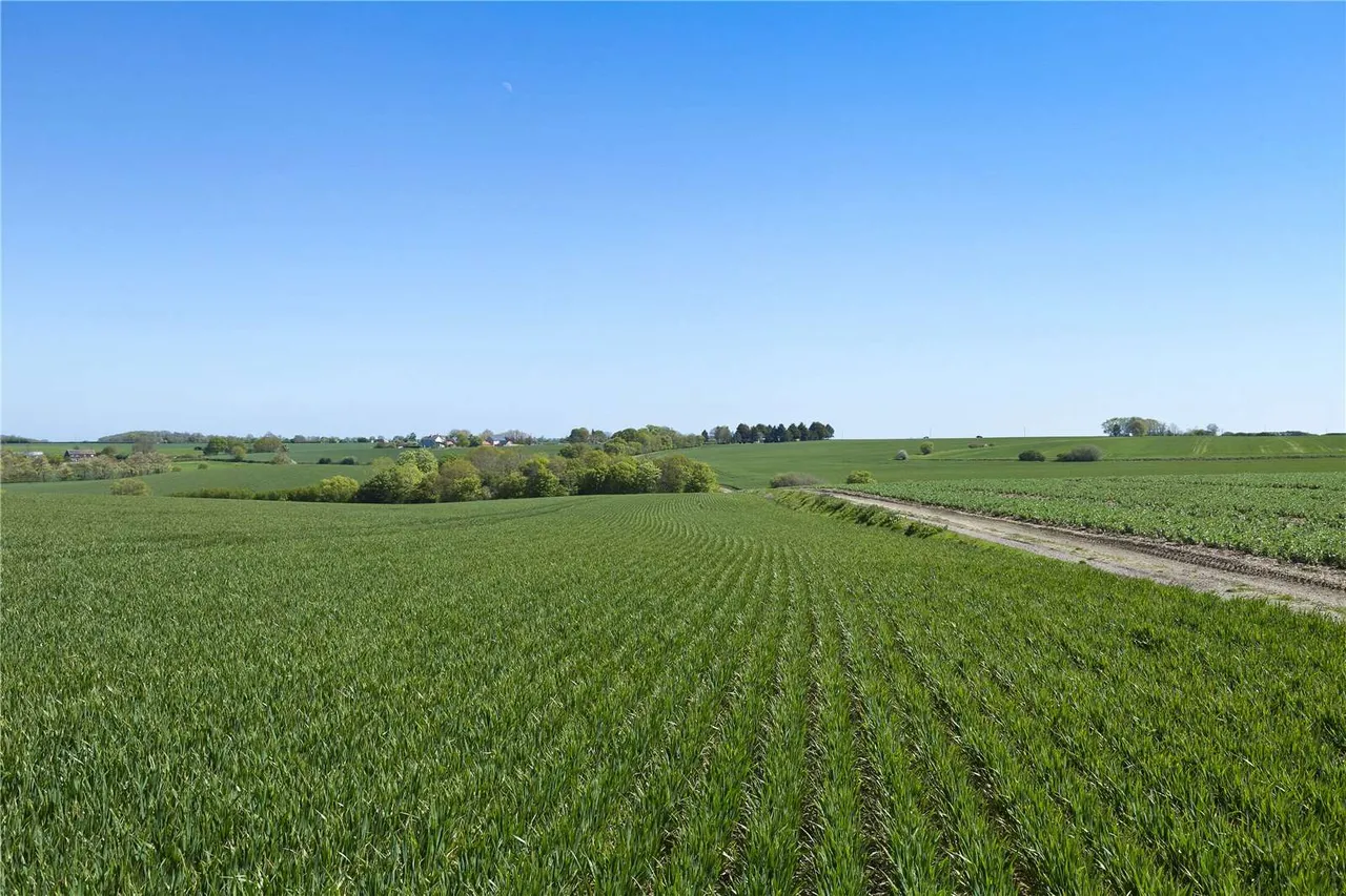 Lodge Farm, Great Raveley, Huntingdon, Cambridgeshire, PE28 2QZ, photo 3