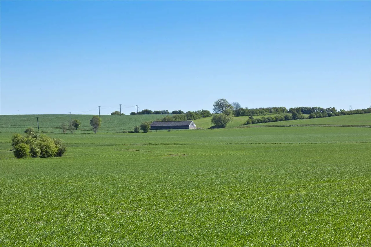 Lodge Farm, Great Raveley, Huntingdon, Cambridgeshire, PE28 2QZ, photo 9