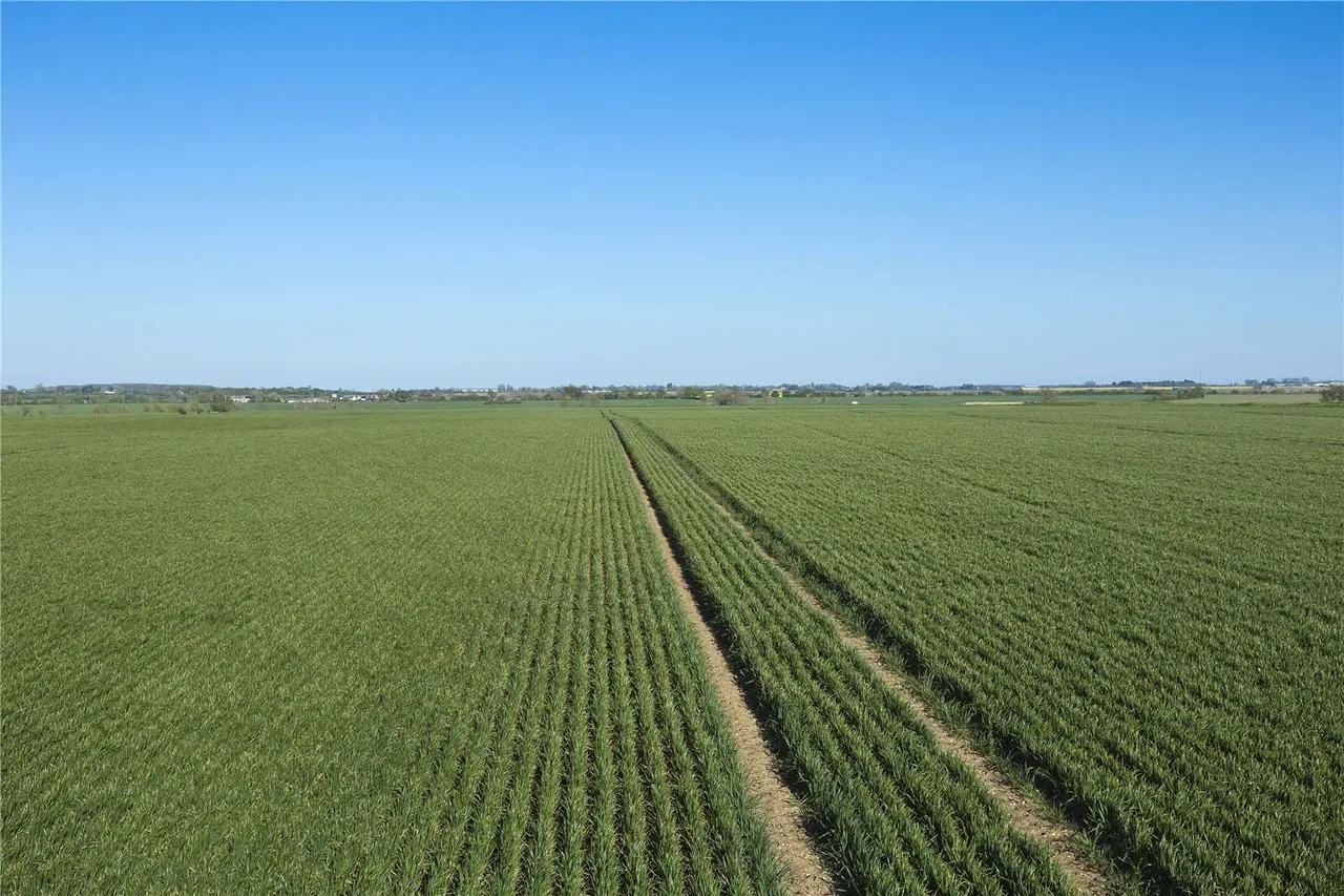 Lodge Farm, Great Raveley, Huntingdon, Cambridgeshire, PE28 2QZ, photo 8