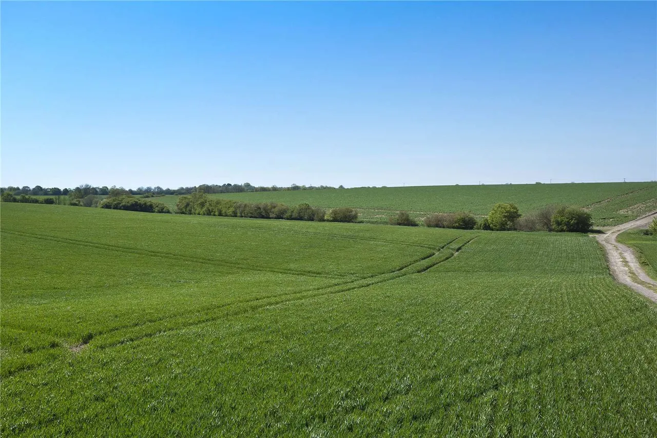 Lodge Farm, Great Raveley, Huntingdon, Cambridgeshire, PE28 2QZ, photo 5