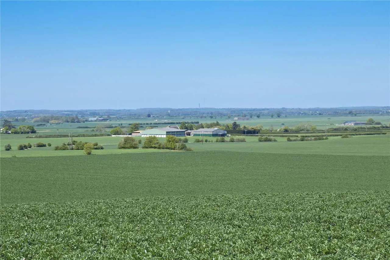 Lodge Farm, Great Raveley, Huntingdon, Cambridgeshire, PE28 2QZ, photo 2