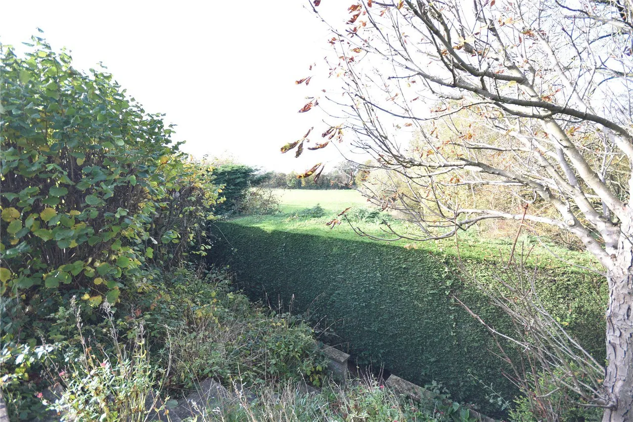 The Approach, Scholes, LS15, photo 18