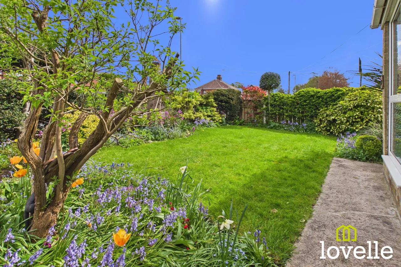 Park Lane, Cottingham, HU16, photo 35