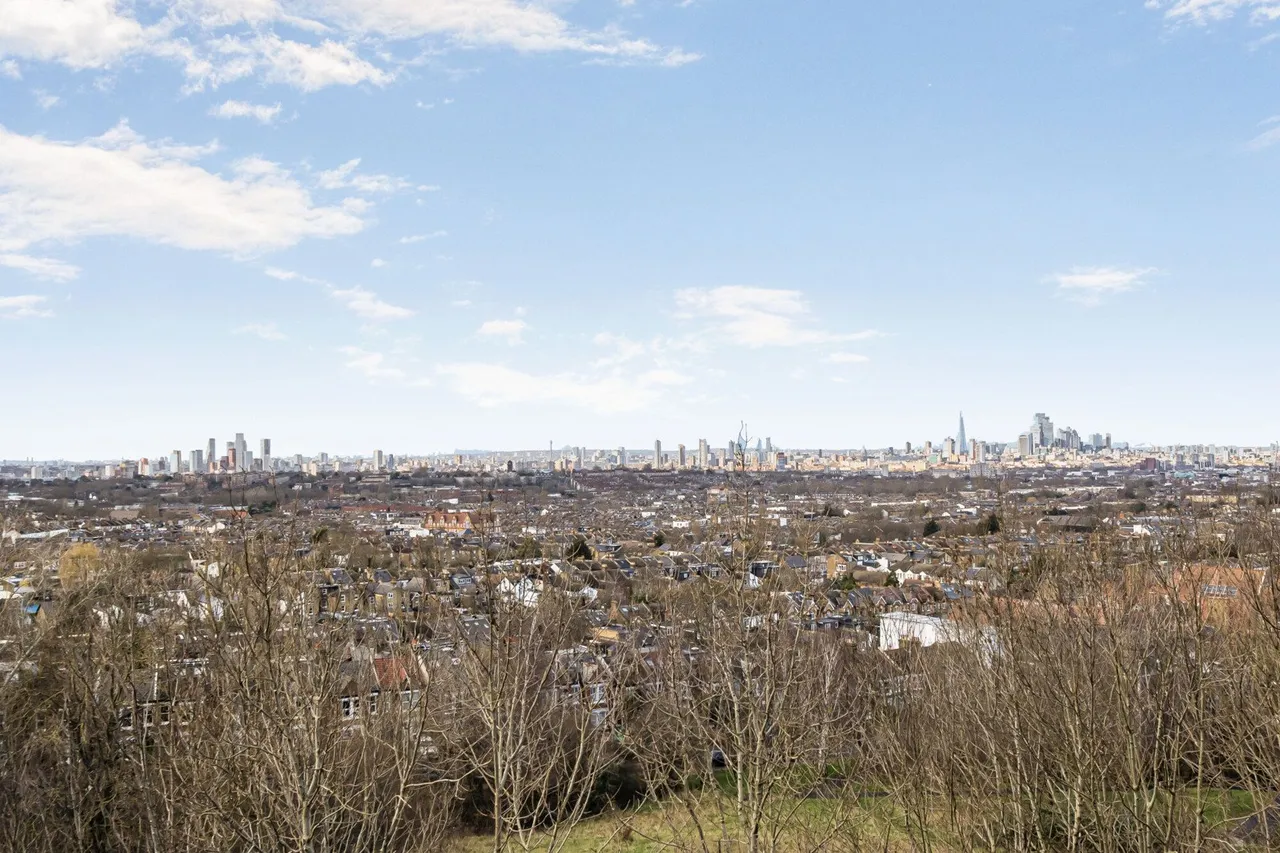 Overhill Road, SE22, photo 11