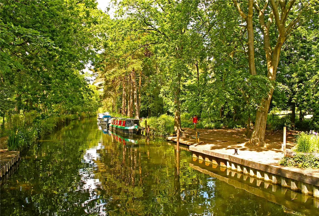 Cedar Lane, Frimley, GU16, photo 7