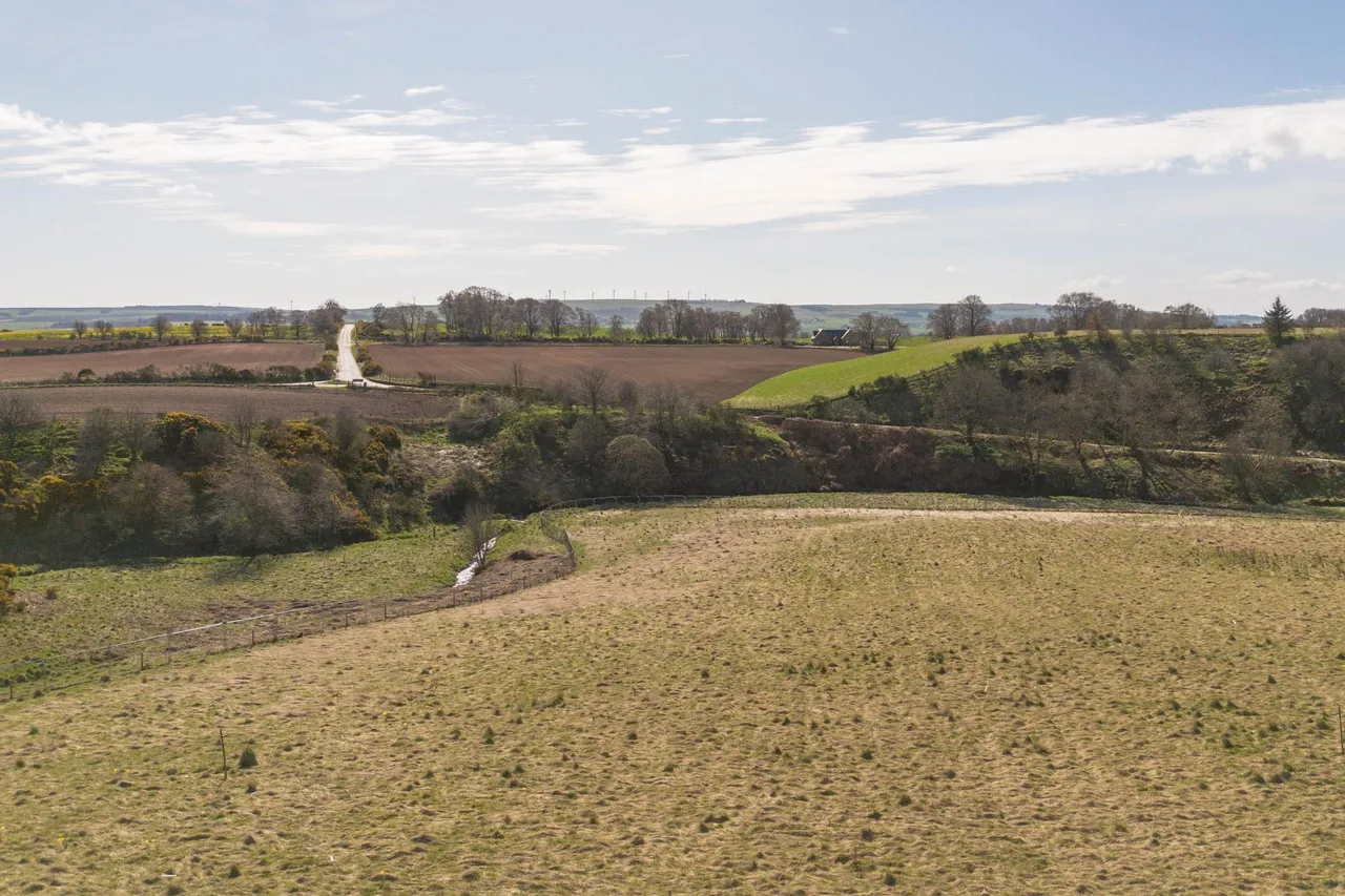 Castlehill Gardens, Auchenblae, AB30, photo 43