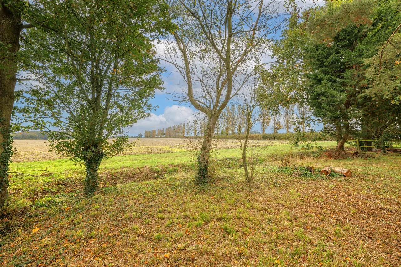 Sibton Green, Sibton, IP17, photo 14