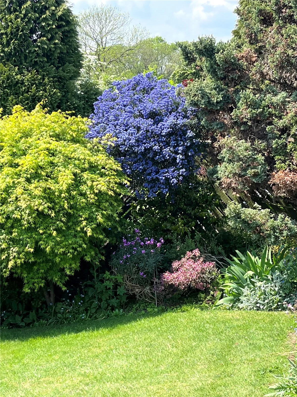 Meadow Rise, Bournville, Birmingham, West Midlands, B30 1UZ, photo 31