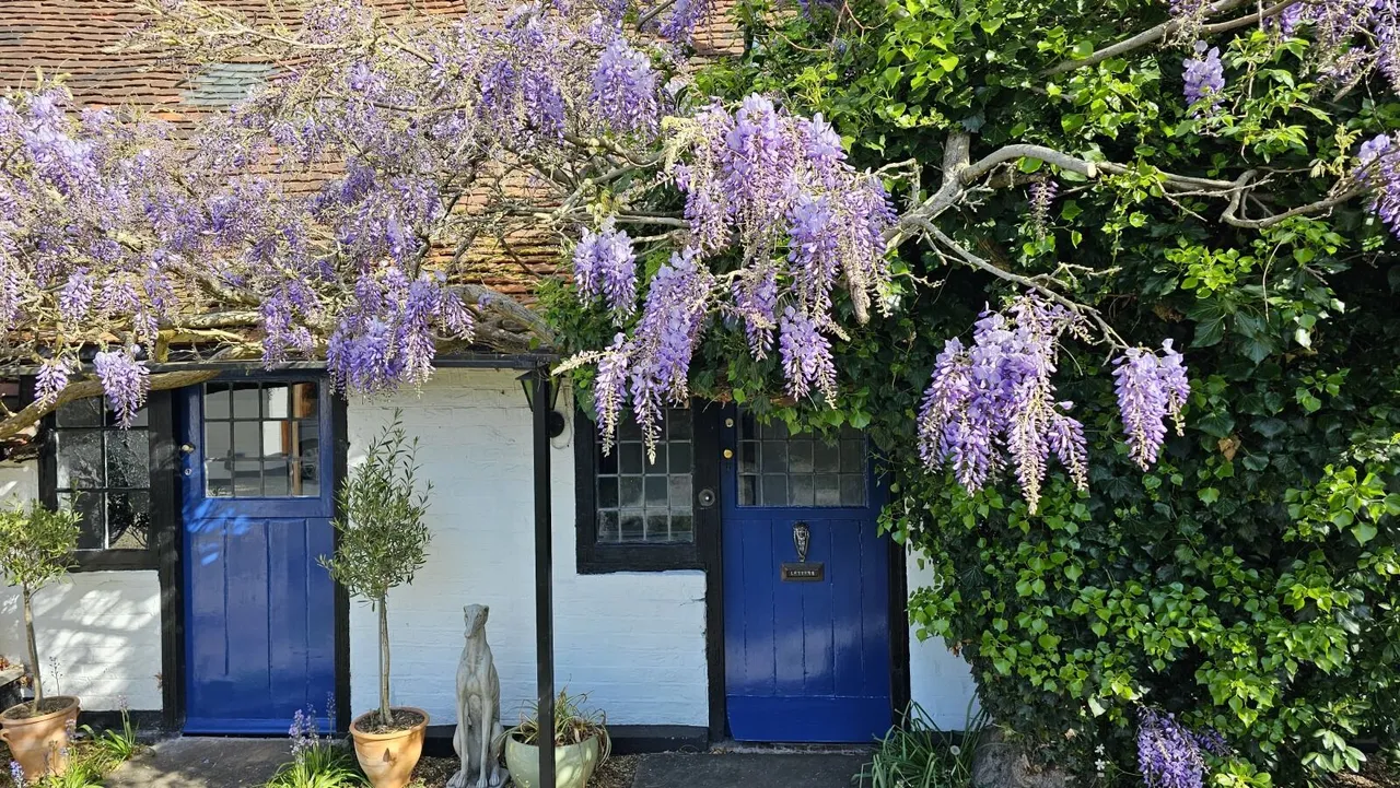 Pangbourne Hill, Pangbourne, RG8, photo 32