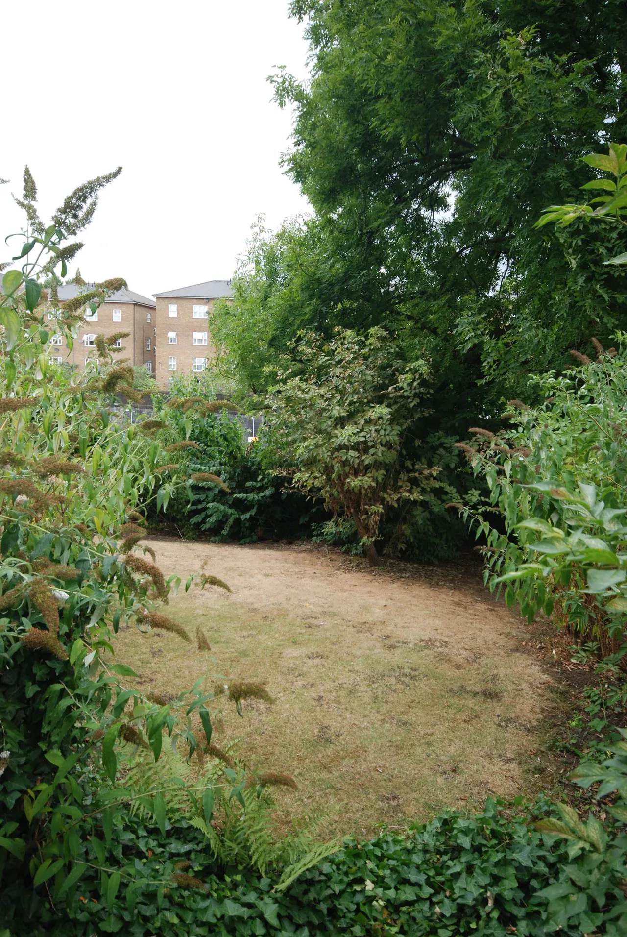 4 Hilltop Court, 14-16 Alexandra Road, London, photo 7