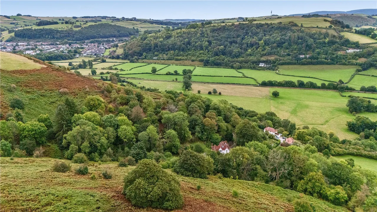 Knighton, LD7, photo 38