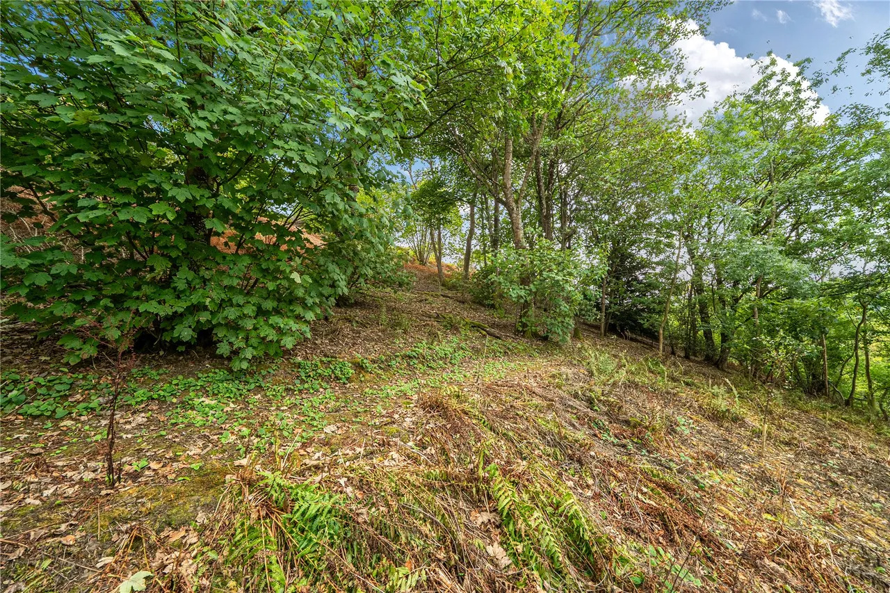 Knighton, LD7, photo 44