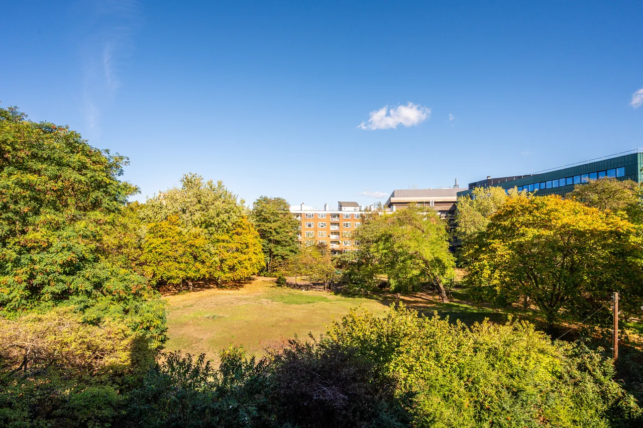 London, SE11, photo 5