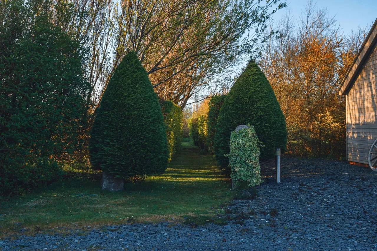 Malltraeth, Bodorgan, LL62, photo 28