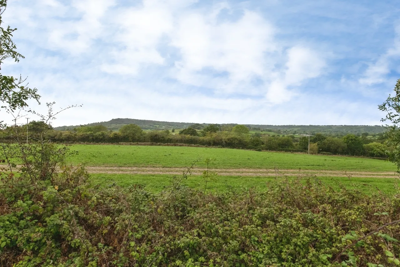 The Orchard, Otter Valley Park, EX14, photo 16