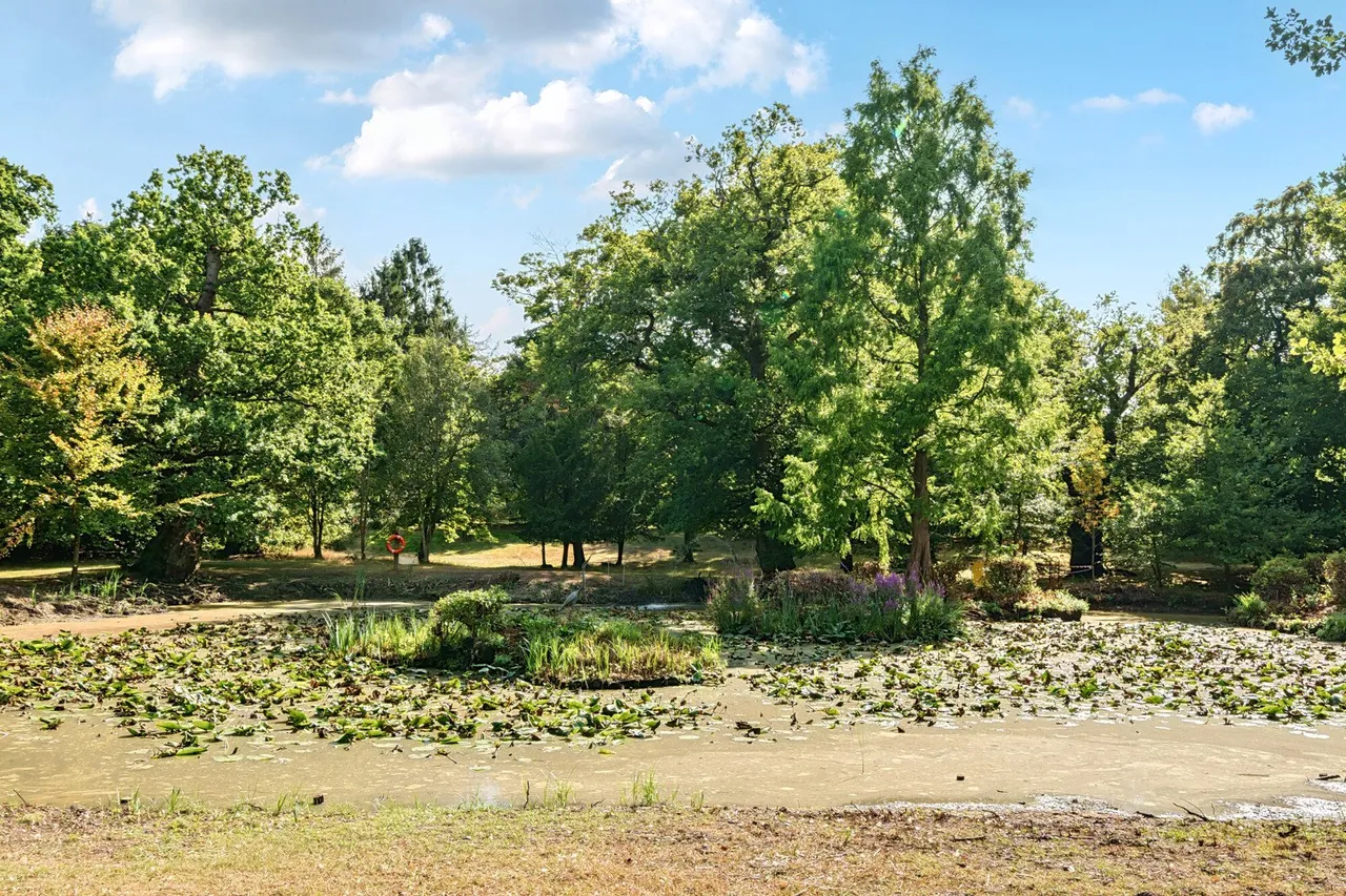 Holwood Estate, Keston, BR2, photo 10