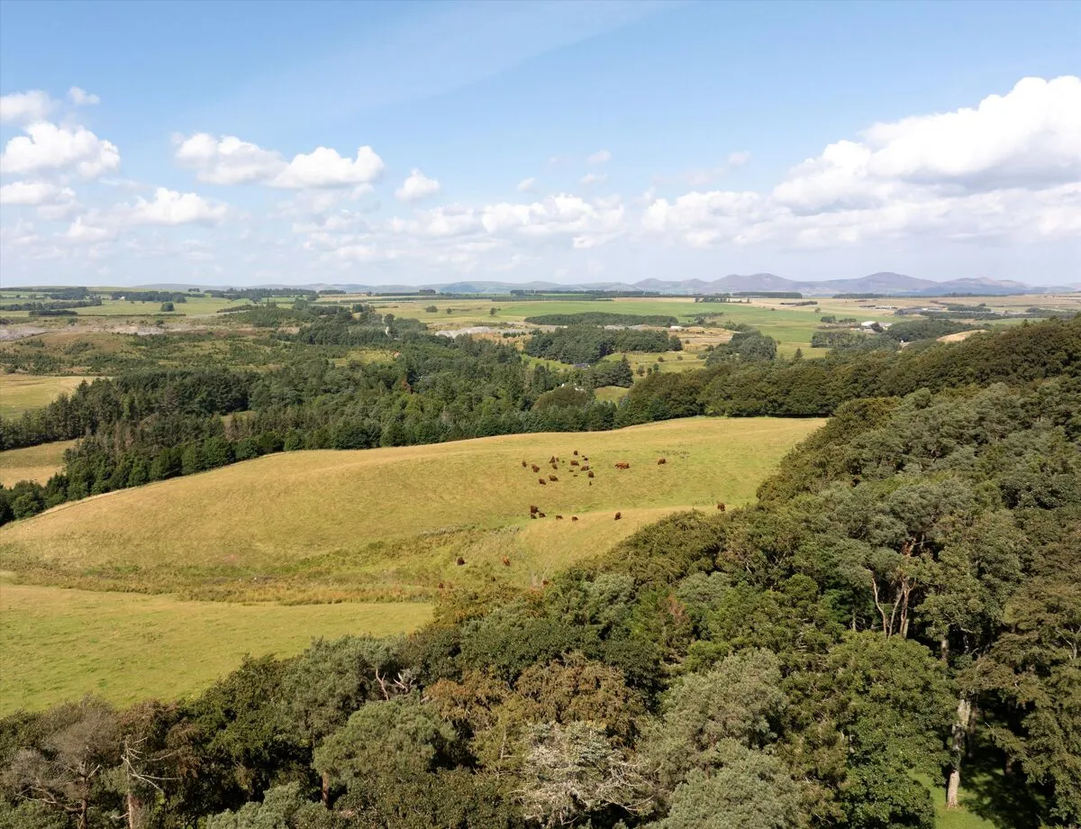 Peebles, EH45, photo 24
