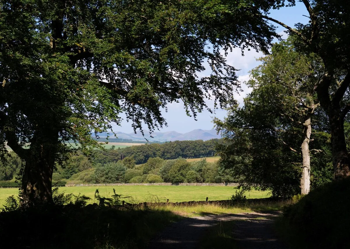 Peebles, EH45, photo 18