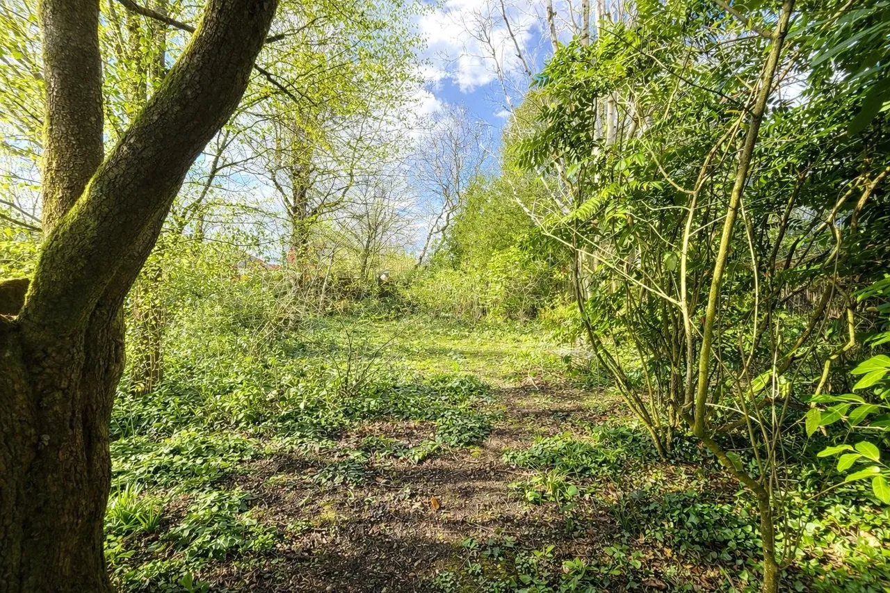 Canada Road, West Wellow, Romsey, Hampshire, SO51 6DD, photo 16