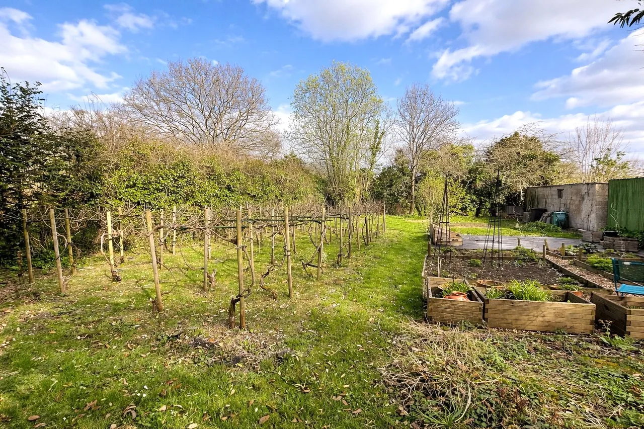 Canada Road, West Wellow, Romsey, Hampshire, SO51 6DD, photo 15