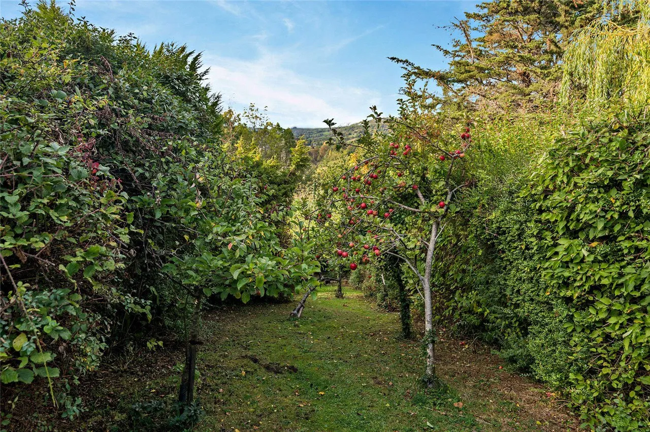 Warminster Road, Bathampton, BA2, photo 33