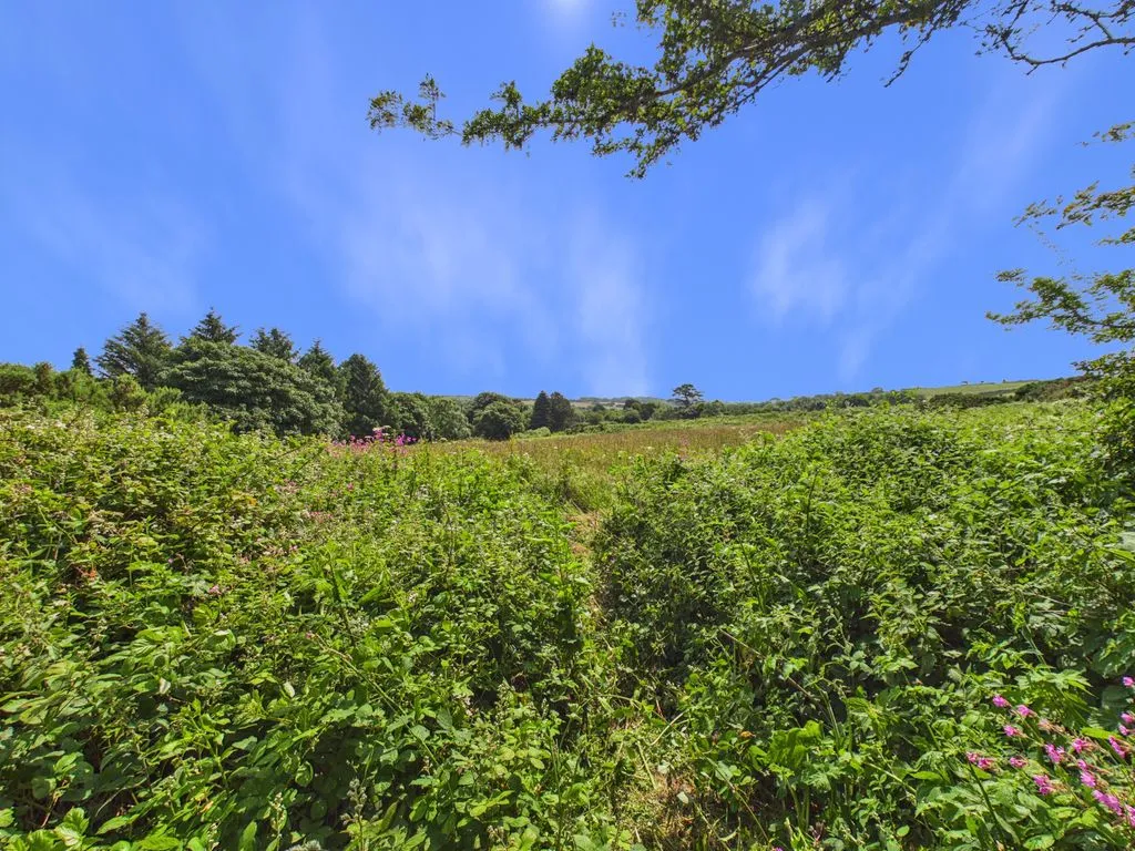 Releath Water Farm, Releath Sithney, Helston, photo 17