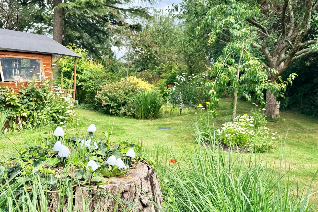 Ringwood, BH24, photo 19