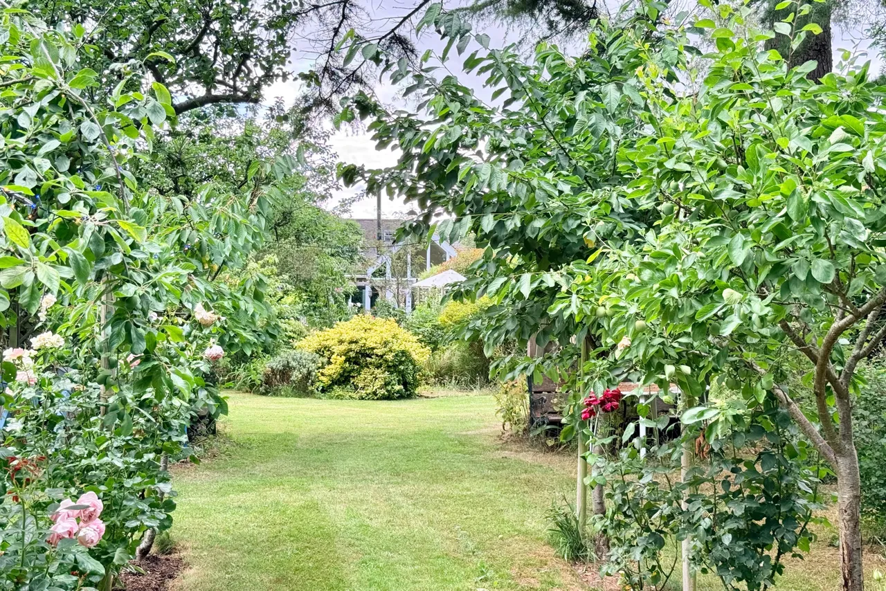 Ringwood, BH24, photo 20