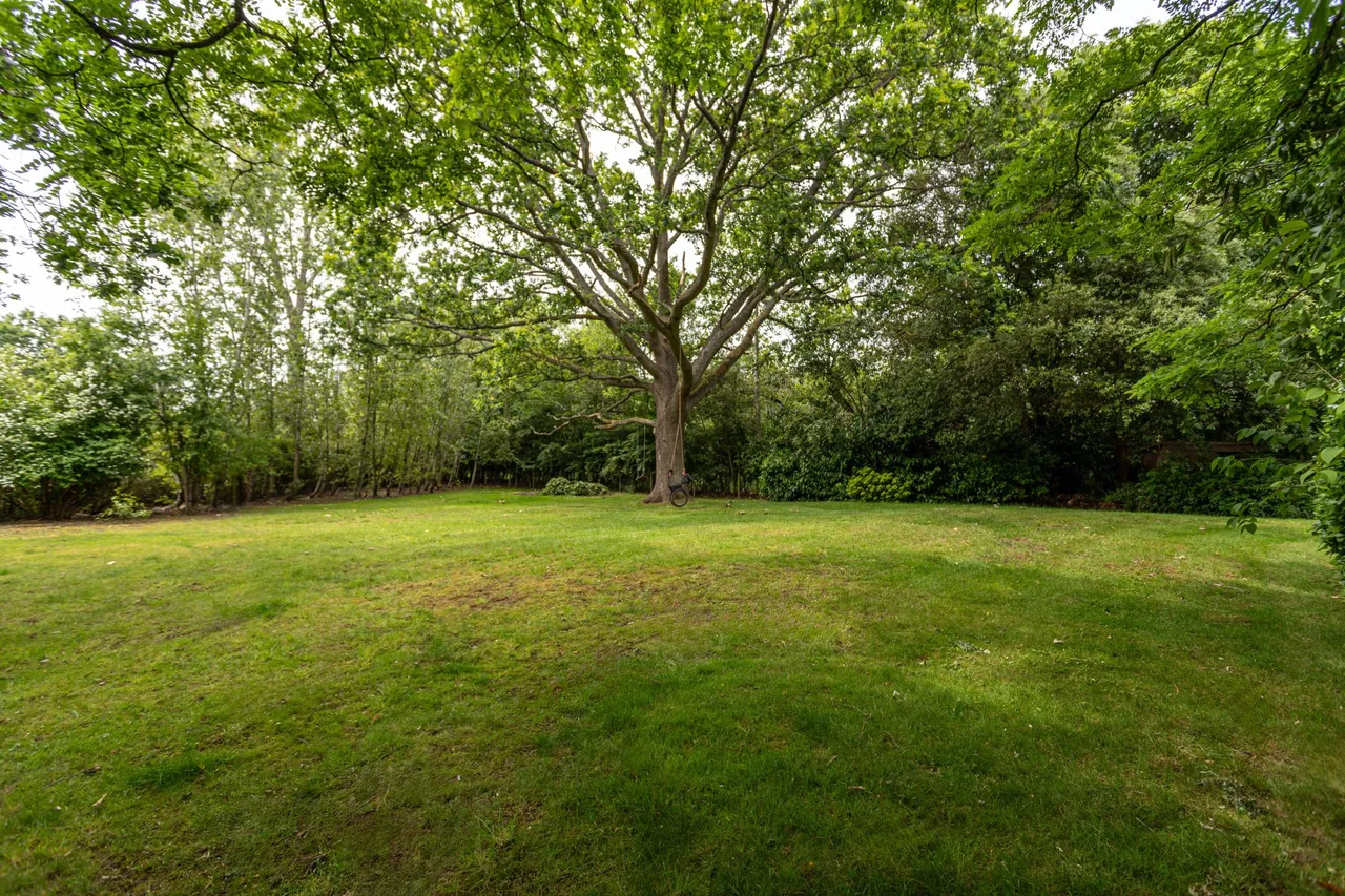 The Hall Binfield Park, Binfield, Bracknell, RG42 5NT, photo 17