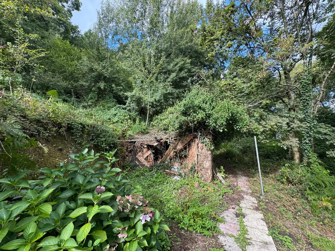 Ashes Lane, Symonds Yat West, HR9, photo 7