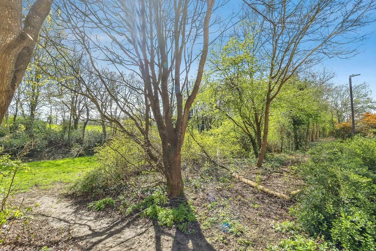 Mayer Gardens, Shenley Lodge, Milton Keynes, Buckinghamshire, MK5, photo 16