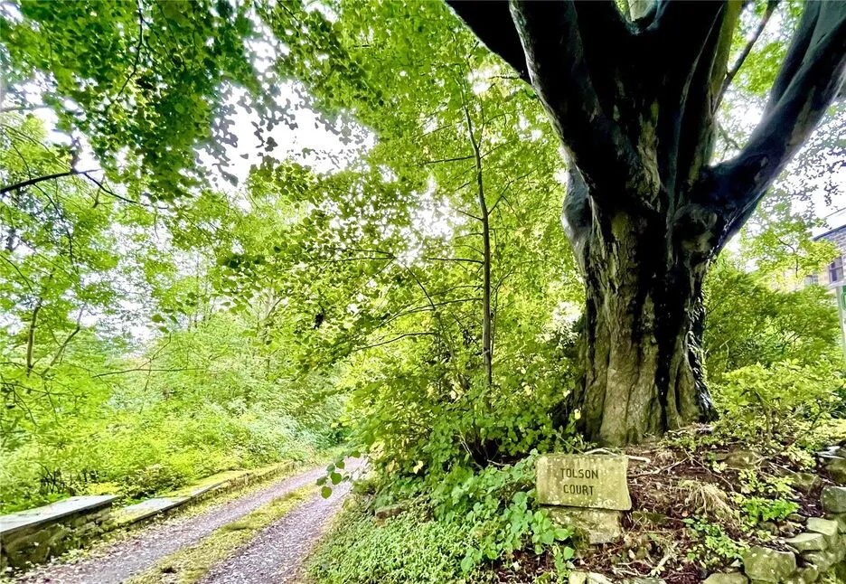 Huddersfield Road, Penistone, S36, photo 5
