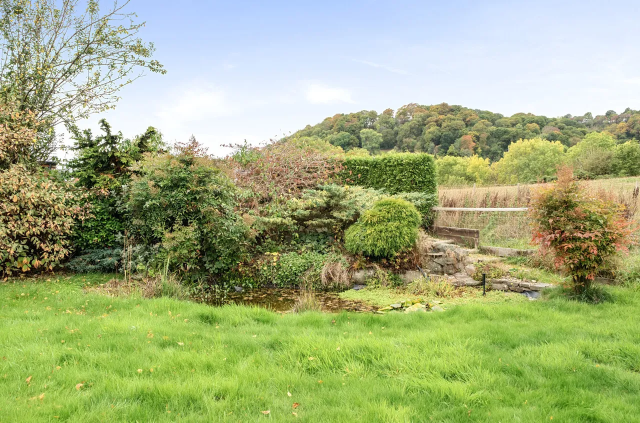 Cae Brynderwen, Abermule, photo 23
