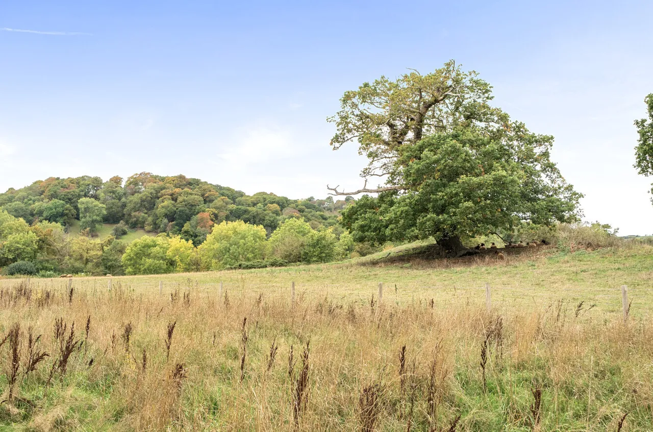 Cae Brynderwen, Abermule, photo 26