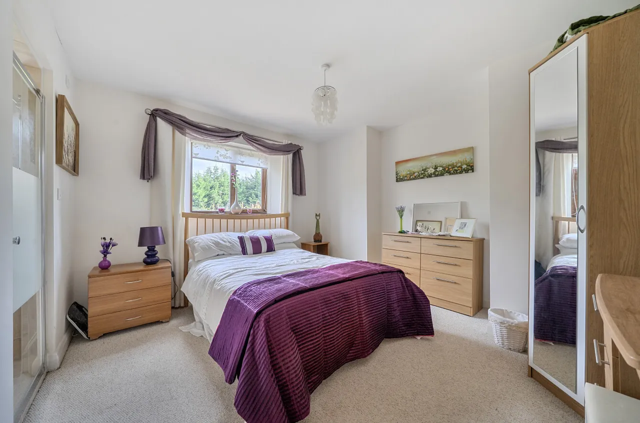 Cae Brynderwen, Abermule, photo 11