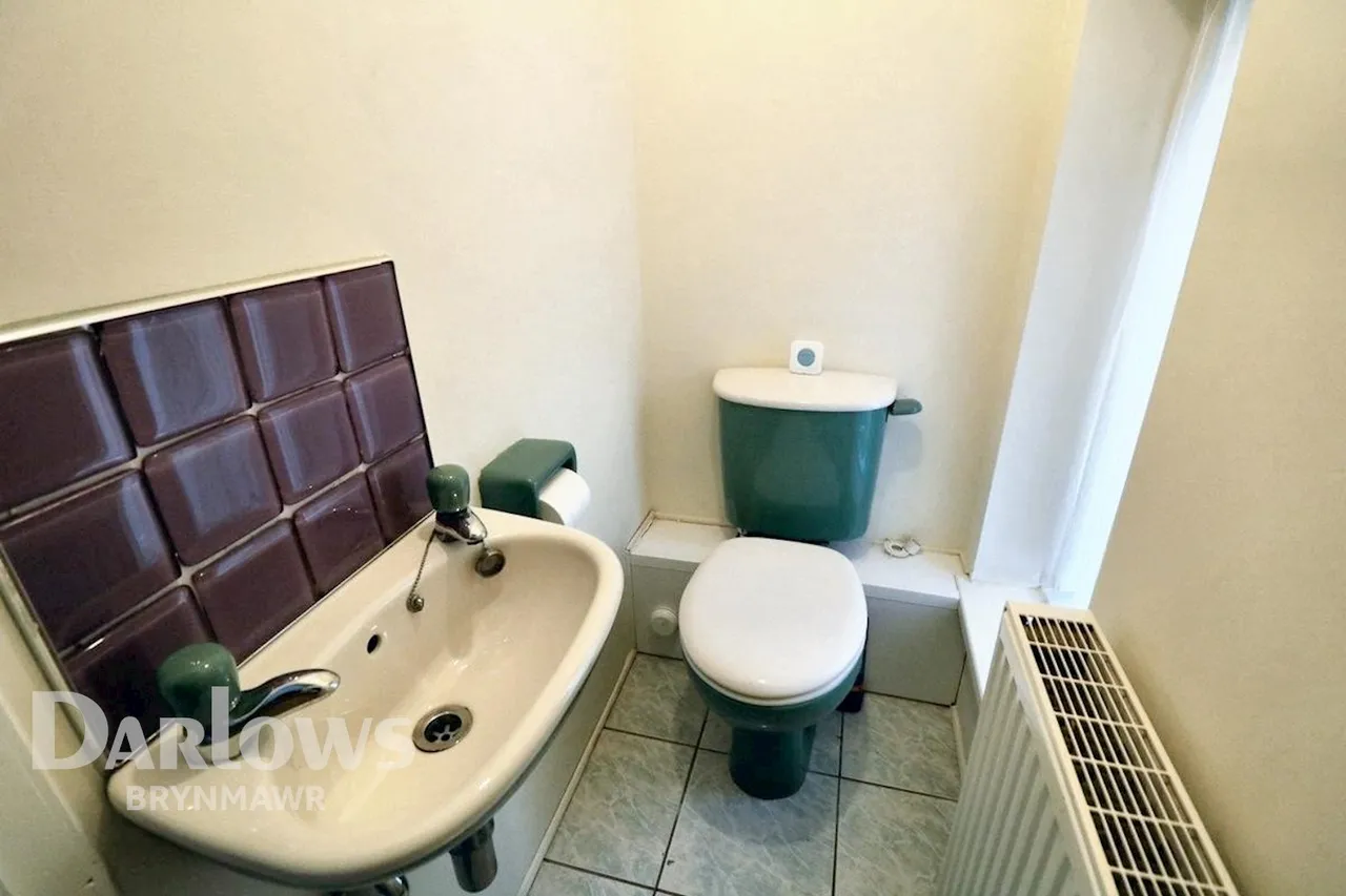 Glan Ebbw Terrace, Ebbw Vale, photo 11