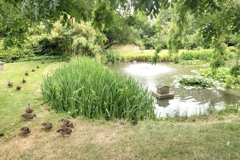 Delves Close, Ringmer, BN8, photo 6