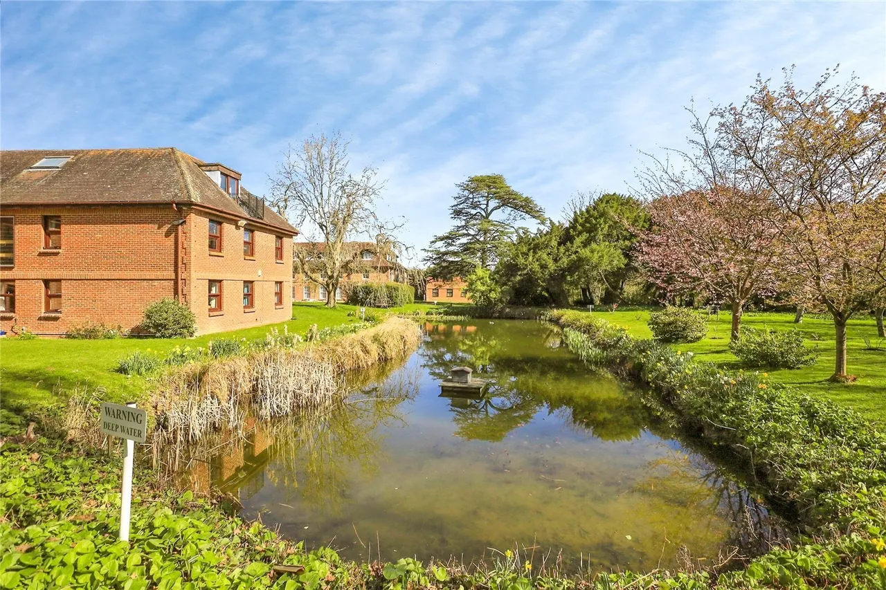 Delves Close, Ringmer, BN8, photo 29