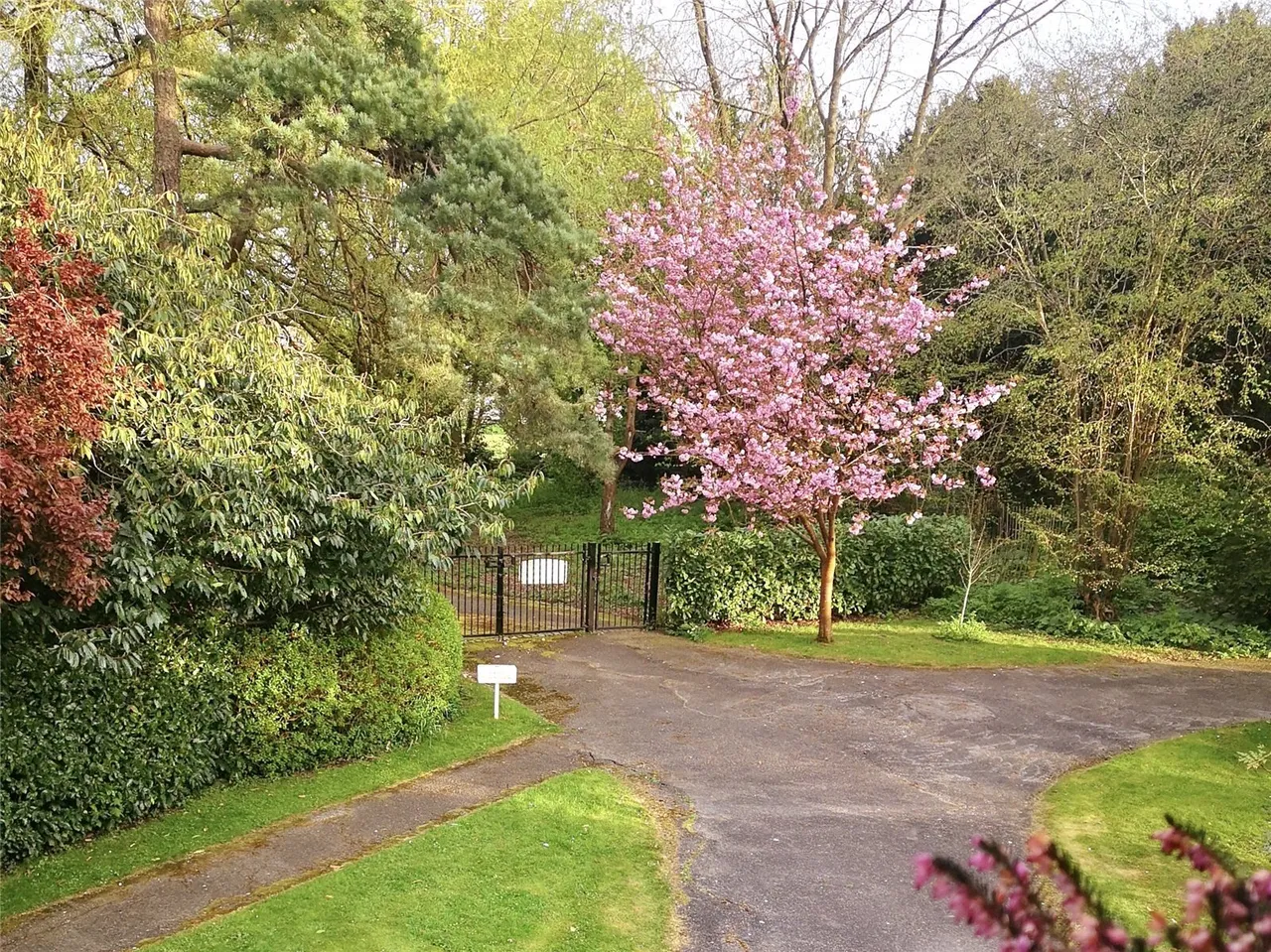 Delves Close, Ringmer, BN8, photo 17