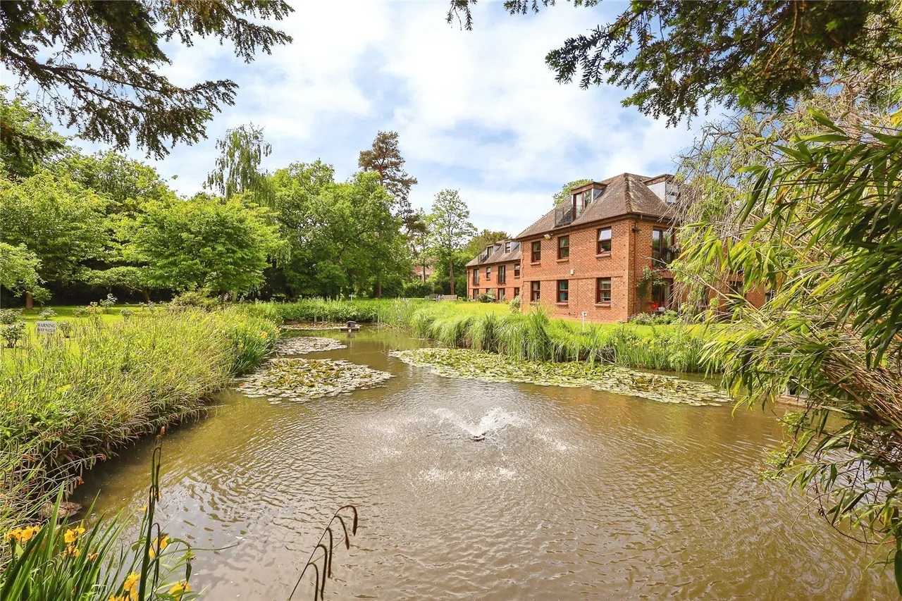 Delves Close, Ringmer, BN8, photo 24