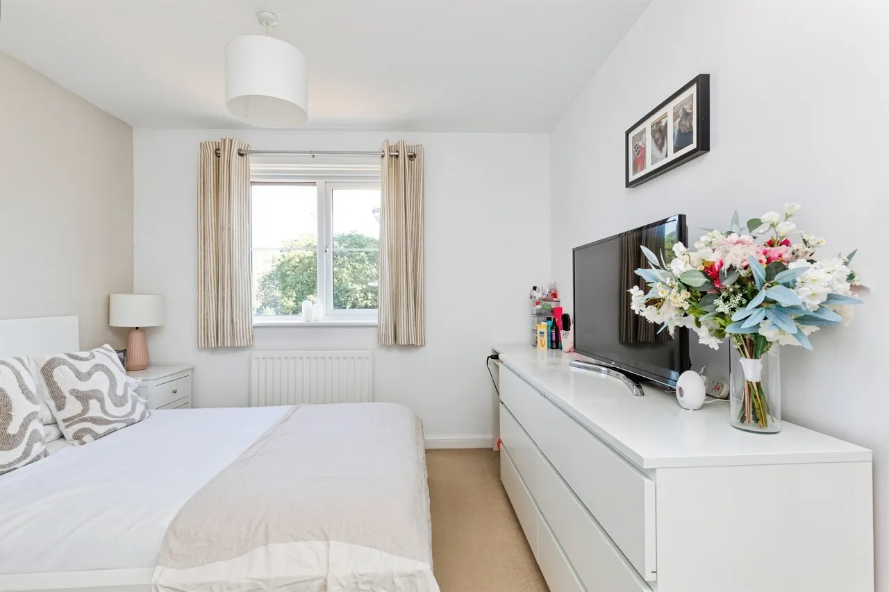 Snowdrop Rise, St. Leonards-On-Sea, TN38, photo 11