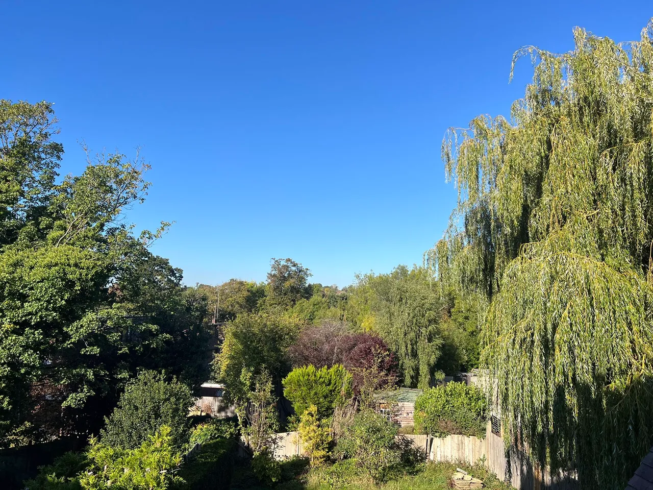 Risegate Lodge, Holden Road, Woodside Park, London, Greater London, N12 7DU, photo 19