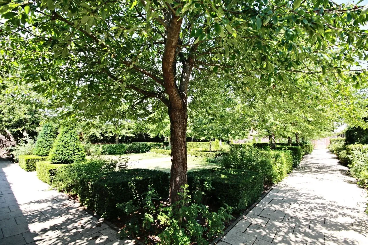 Holford Way, London, SW15, photo 22