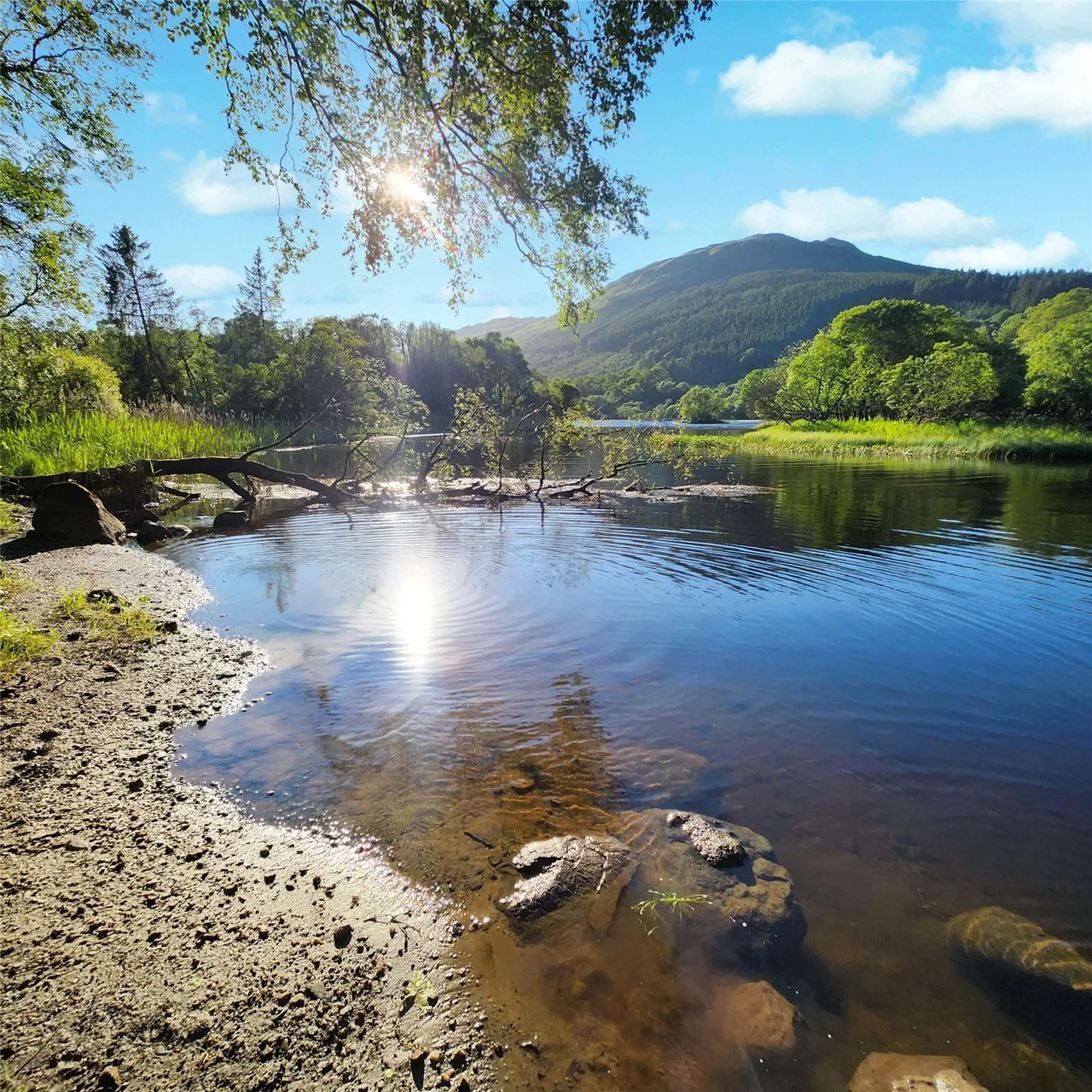 Lagati, Balquhidder, Lochearnhead, Stirlingshire, FK19, photo 29